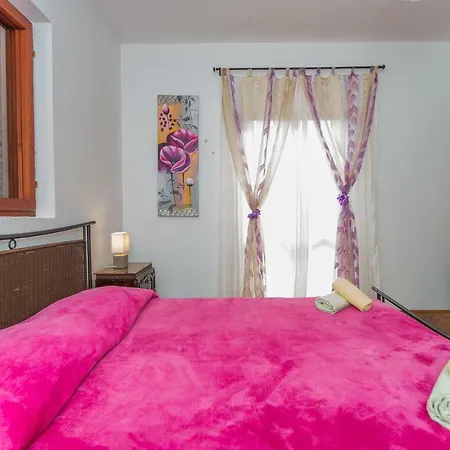 Pinetree Apartman Zadar