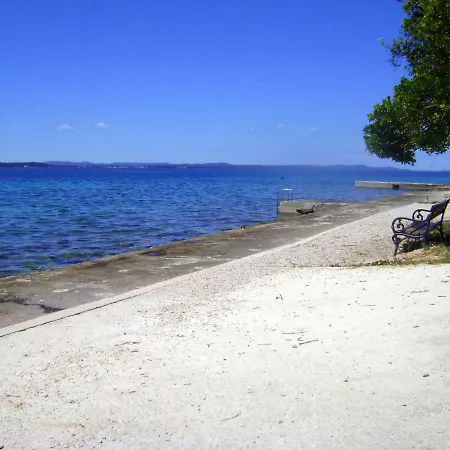 Pinetree * Zadar